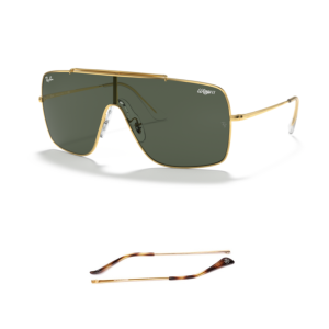 Branches Compatibles Ray-Ban 3697 WINGS II