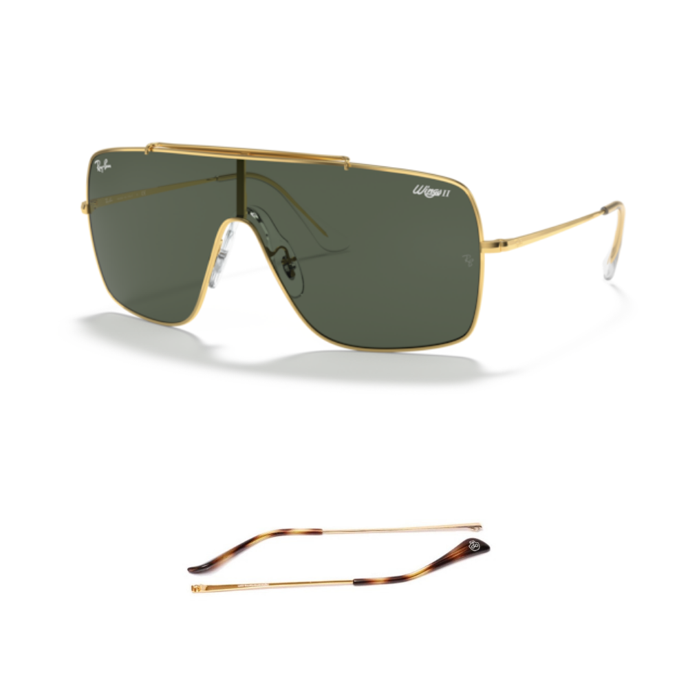 Branches Compatibles Ray-Ban 3697 WINGS II