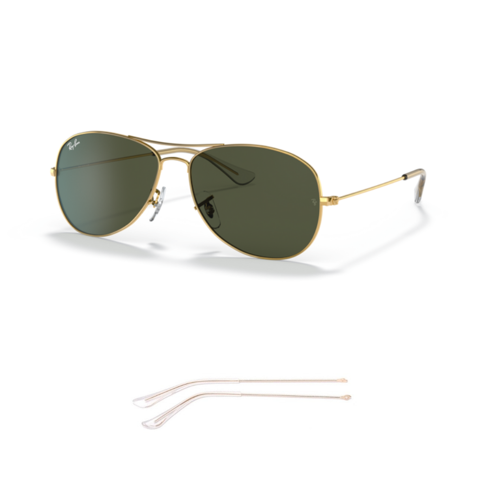 Branches Compatibles Ray-Ban 3362 COCKPIT