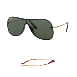 Branches Compatibles Ray-Ban 4311N