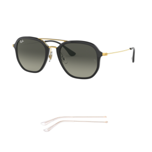 Branches Compatibles Ray-Ban 4273