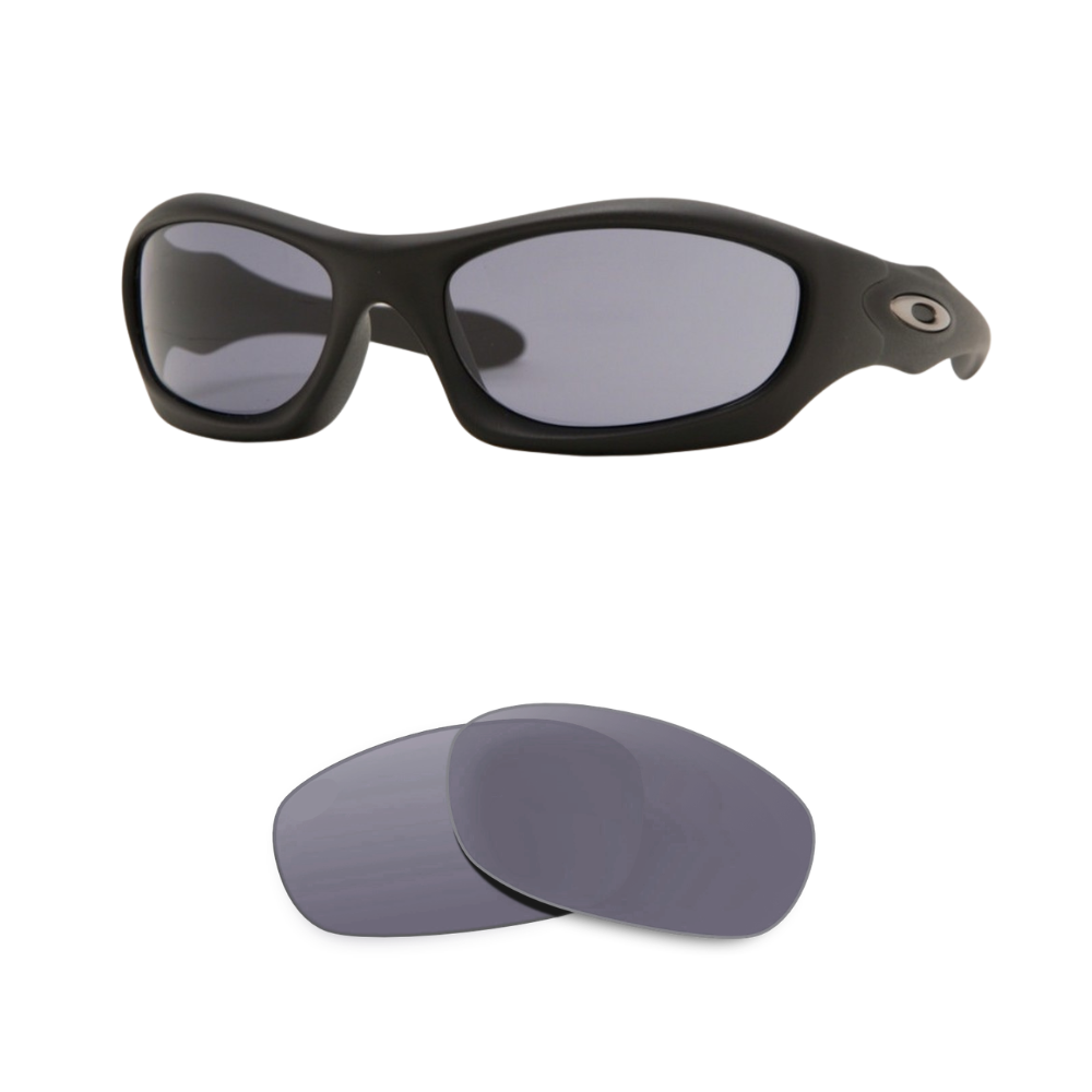 Verres Compatible Oakley 9028 MONSTER DOG