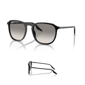 Branches Ray-Ban 2203 Originaux