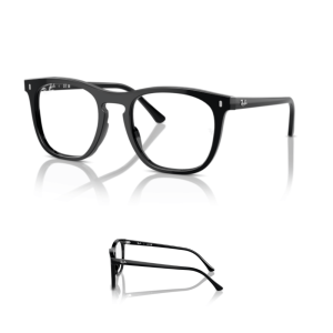 Branches Ray-Ban 2210V Originaux