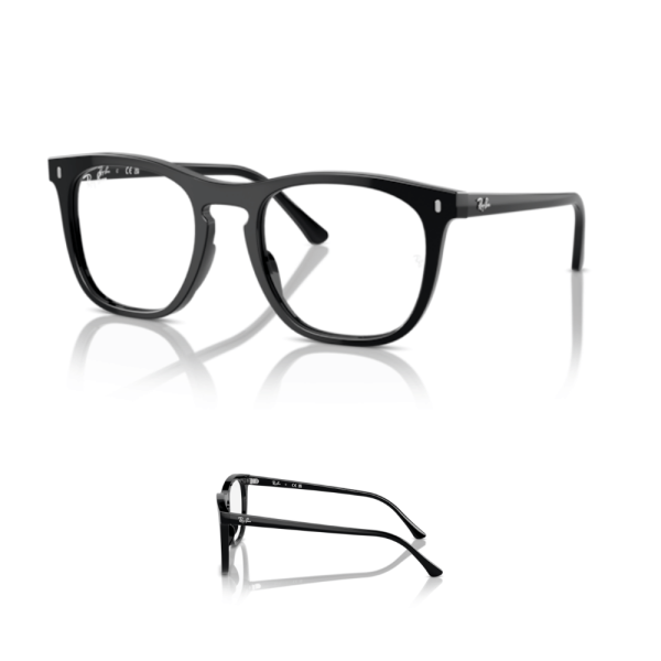 Branches Ray-Ban 2210V Originales