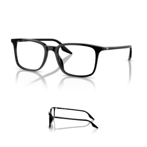 Branches-Ray-Ban 5421 Originaux