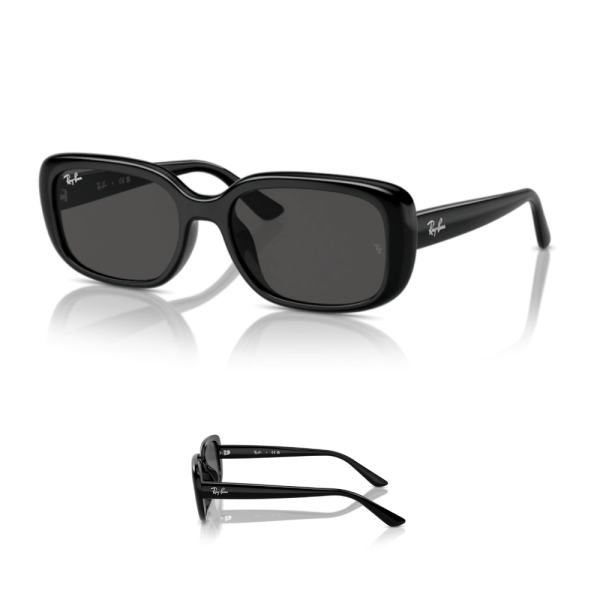 Branches Ray-Ban 4421D Originales