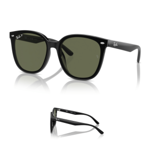 Branches Ray-Ban 4423D Originaux