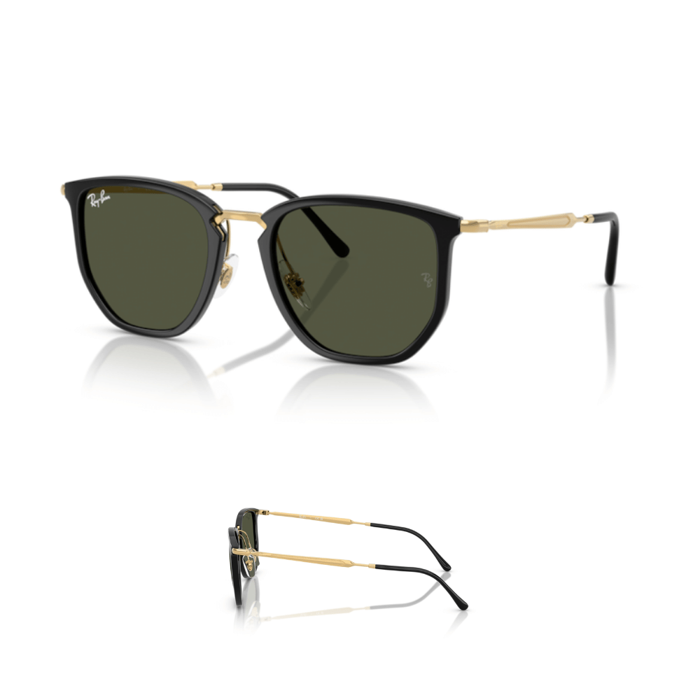 Branches Ray-Ban 4451 Originaux