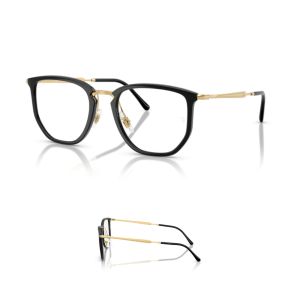 Branches Ray-Ban 4451V Originaux
