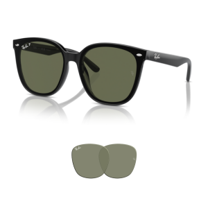 Verres Ray-Ban 4423D Originaux