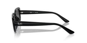 Branches originales Ray-Ban RB4421D, couleur 6677 · Noir