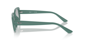 Branches originales Ray-Ban RB4421D, couleur 6762 · Algae vert