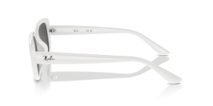 Branches originales Ray-Ban RB4421D, couleur 6772 · Blanc