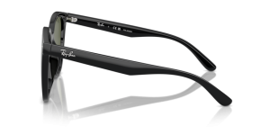 Branches originales Ray-Ban RB4423D, couleur 601 · Noir
