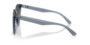 Branches originales Ray-Ban RB4423D, couleur 6592 · Foncé transparent bleu