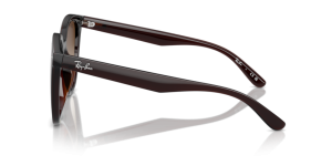 Branches originales Ray-Ban RB4423D, couleur 714 · Transparent marron