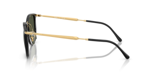 Branches originales Ray-Ban RB4451, couleur 6306 · Noir