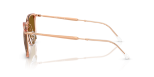 Branches originales Ray-Ban RB4451, couleur 6801 · Transparent beige