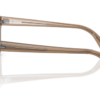 8198-transparent-light-brown