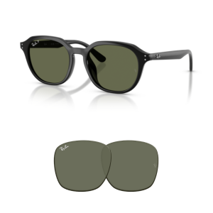 Verres Ray-Ban 4459D Originaux