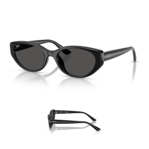 Branches Ray-Ban 4457D Originaux
