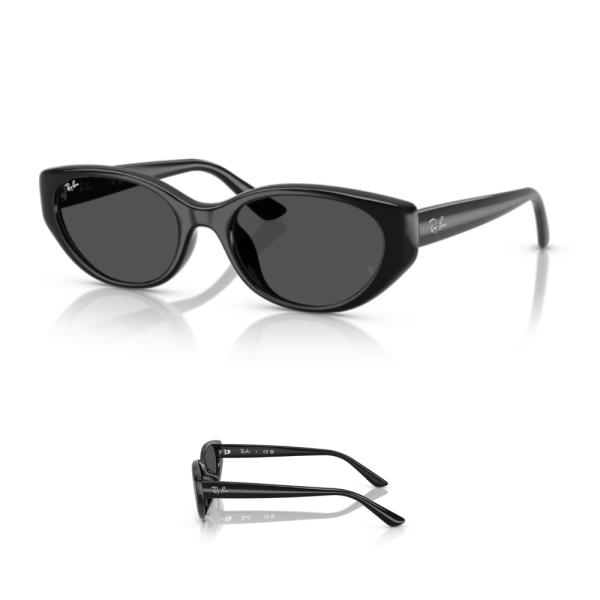 Branches Ray-Ban 4457D Originales