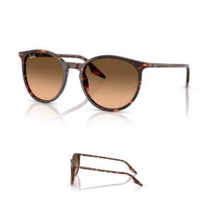 Branches Ray-Ban 2204 Originaux