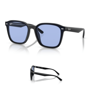 Branches Ray-Ban 4392D Originaux