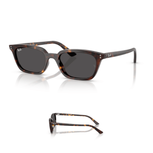 Branches Ray-Ban 4456 ZAYA Originaux