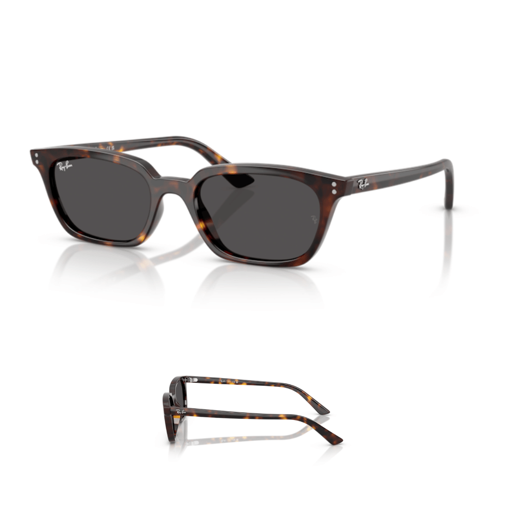 Branches Ray-Ban 4456 ZAYA Originaux