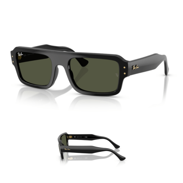 Branches Ray-Ban 4454 FLACKO Originales
