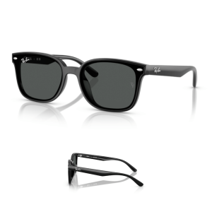 Branches Ray-Ban 4461D Originaux