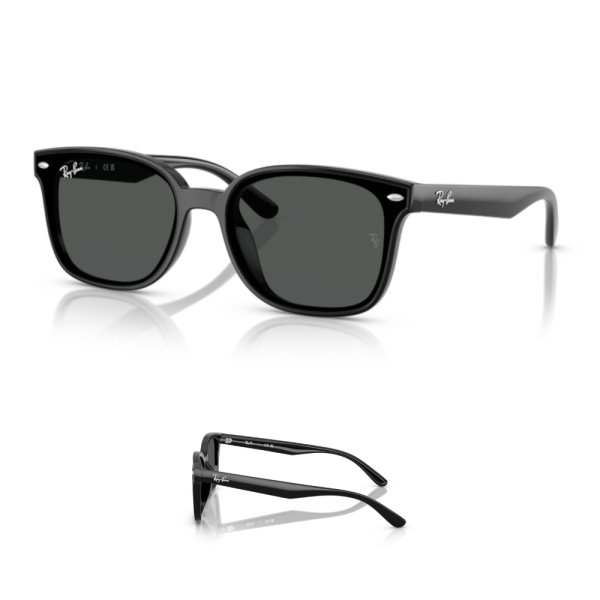 Branches Ray-Ban 4461D Originales
