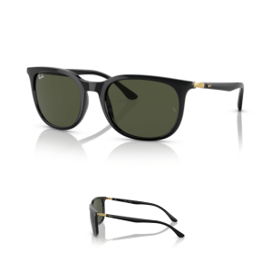 Branches Ray-Ban 4386 Originaux