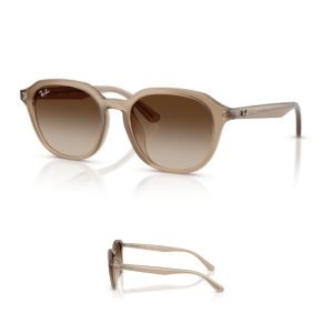 Branches Ray-Ban 4459D Originaux