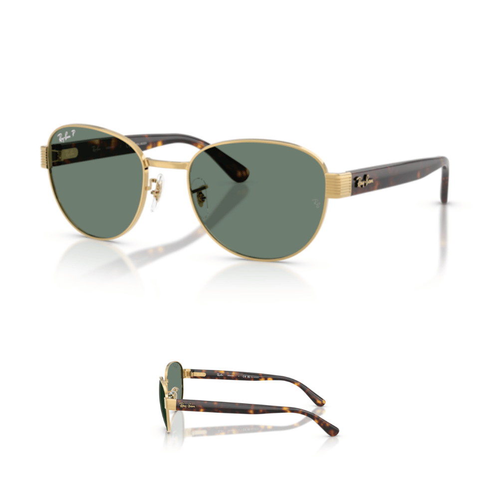 Branches Ray-Ban 3766CH Originales