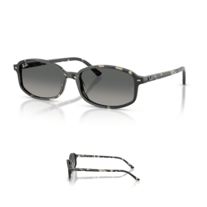 Branche Ray-Ban 2232 Originales