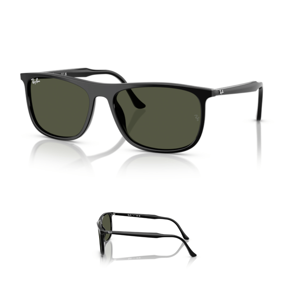 Branches Ray-Ban 2216 Originales