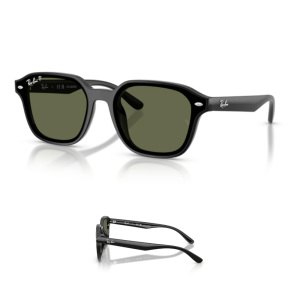 Branches Ray-Ban 4458D Originaux