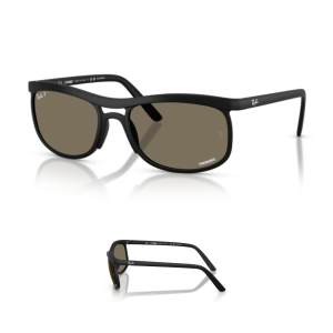 Branches Ray-Ban 4452 Originaux