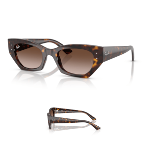 Branches Ray-Ban 4430 ZENA Originaux