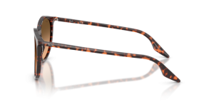 Branches originales Ray-Ban RB2204 Phantos, couleur 1429 · Havane rouge tortoiseshell