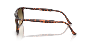 Branches originales Ray-Ban RB2216, couleur 1429 · Havane rouge tortoiseshell