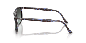 Branches originales Ray-Ban RB2216, couleur 1430 · Havane bleu tortoiseshell