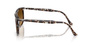 Branches originales Ray-Ban RB2216, couleur 1431 · Havane jaune tortoiseshell