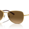 m2-brwon-gradient-brown-polar