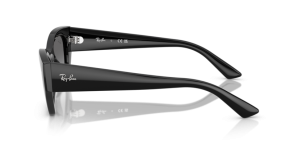 Branches originales Ray-Ban RB4430 Zena, couleur 6677 · Noir