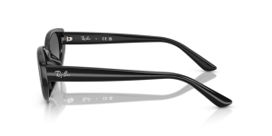 Branches originales Ray-Ban RB4457D, couleur 6677 · Noir