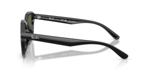 Branches originales Ray-Ban RB4458D, couleur 601 · Noir